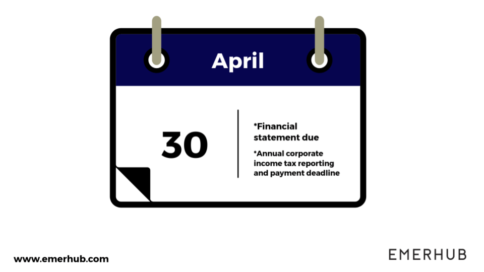 financial statement in Indonesia